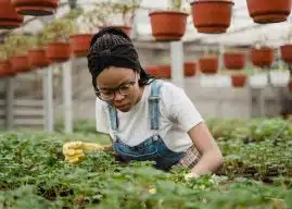 Les outils incontournables pour un entretien de jardin réussi et écologique