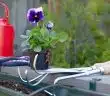 outils de jardinage