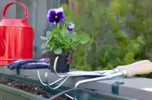 outils de jardinage